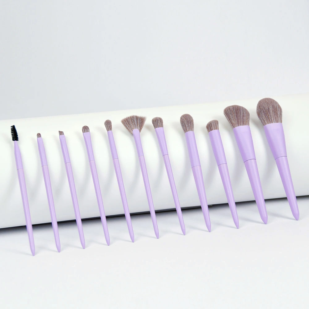 11PCS Makeup Brushes Set for Portable Soft Hair Makeup Brush Set Beauty Tools Make up Kit